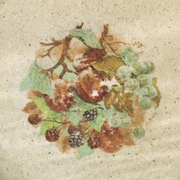 Monroe Salt Works Northern Fruit Blue GrapesPeachesBlackberres Desert Plate 7.5" - Picture 2 of 6